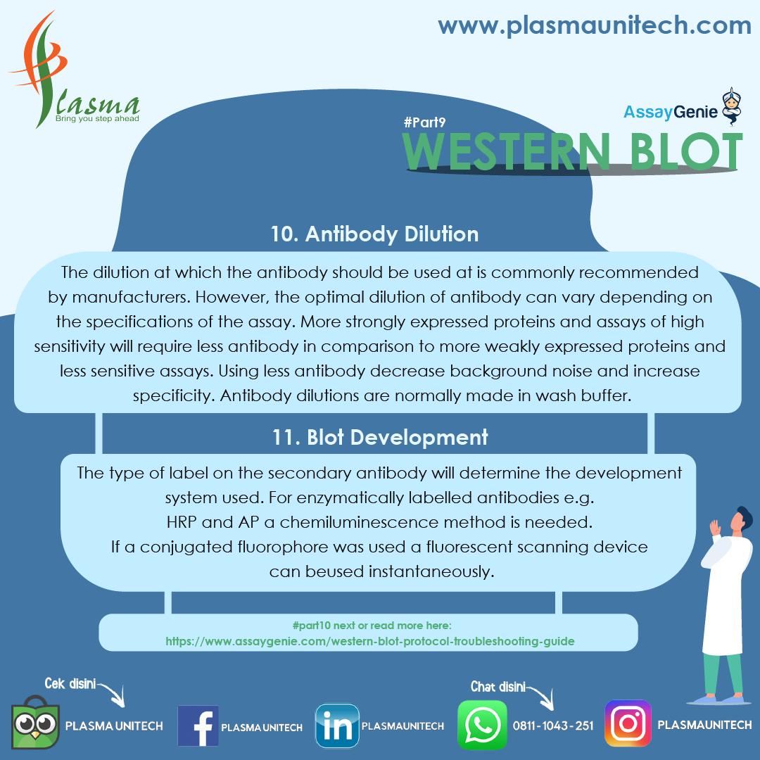 What is Western Blot? #Part9
